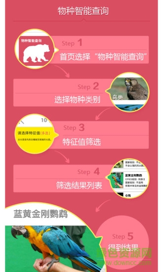 动物守护者手机版 v2.1 安卓版1