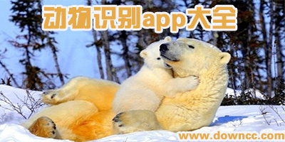 动物识别app