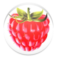 祯心数学(数学提分神器)