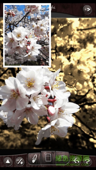 colorful软件 v1.5.5 安卓版2