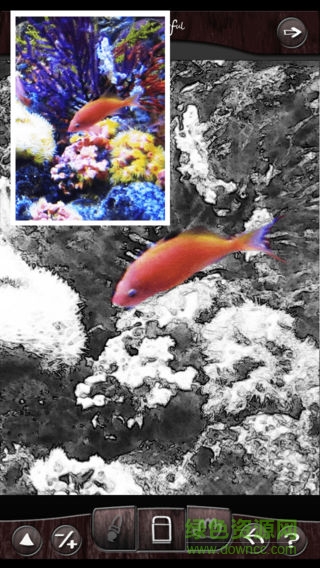 colorful软件 v1.5.5 安卓版3