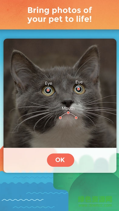 我的宠物会说话app v2.8 安卓版0