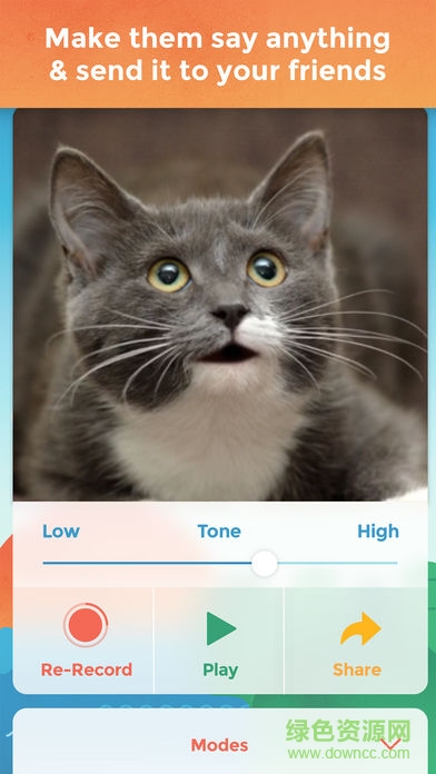 我的宠物会说话app v2.8 安卓版1