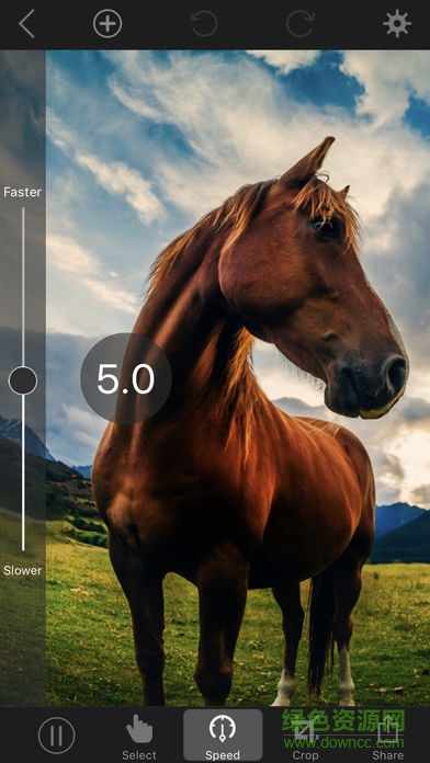 photo animator汉化版 v4.9.1 安卓版1