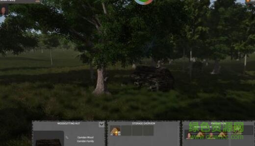 saelig中文版 免安装0