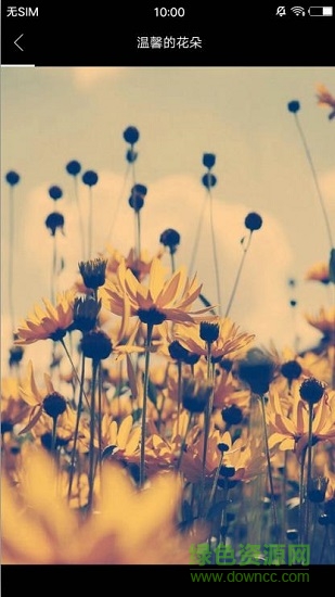 美之图去马赛克 v1.5.15 安卓版1