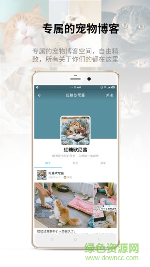 catbook猫书 v1.4.6 安卓版0