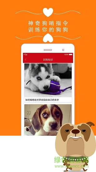 狗狗之家手机版 v1.0 安卓版2