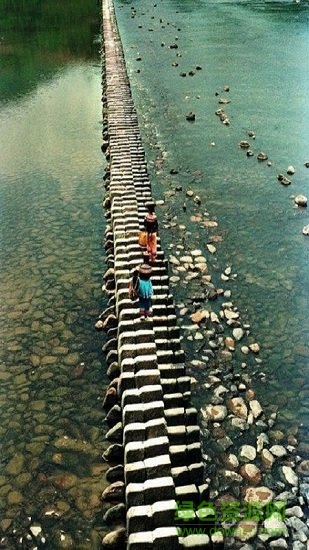 全局透明壁纸苹果版app v5.22.2 iphone版3