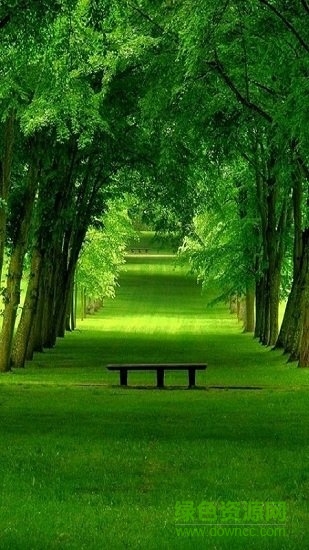 全局透明壁纸苹果版app v5.22.2 iphone版0