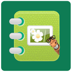 动感相册影集软件下载