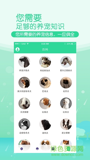 奇奇kiki v1.1.3 安卓版3