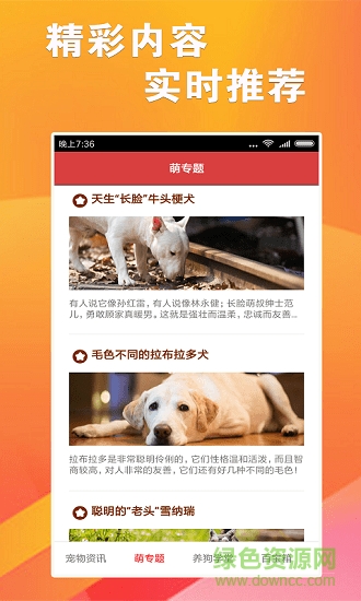 跑狗报手机版 v1.0.0 安卓版2