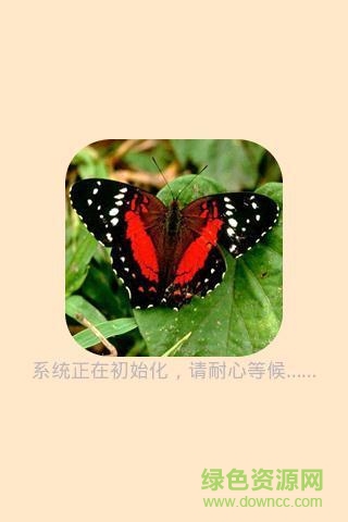 昆虫识图app v1.3 安卓版0