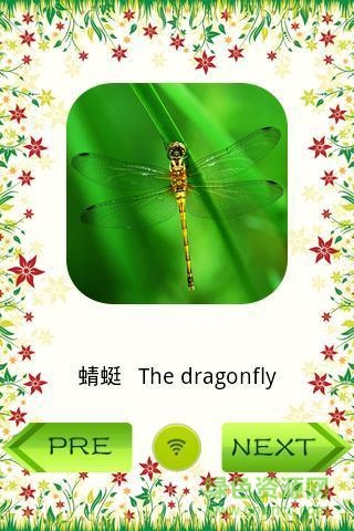昆虫识图app v1.3 安卓版1