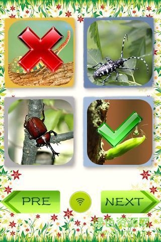昆虫识图app v1.3 安卓版3