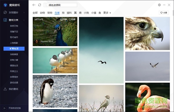 魔镜壁纸官方版 魔镜壁纸