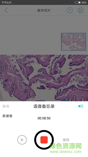 91360会诊 v2.87 安卓版2