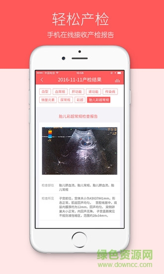 护护孕育 v2.4 安卓版2