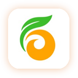 金柿子工装平台