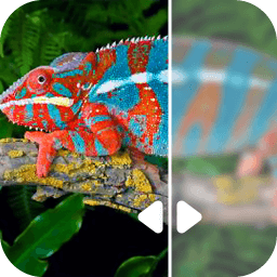 云川图片修复手机版