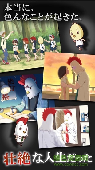 作为鸟而生的男人有着那样壮烈的人生 v1.0.0 安卓版0