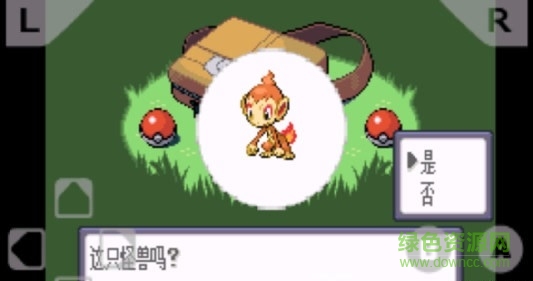 口袋妖怪破碎鬼影