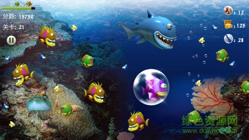 大鱼吃小鱼经典美丽版本 v3.9.6 安卓版0