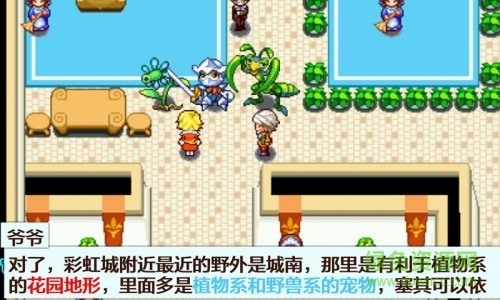 口袋妖怪绿宝石493版手游 v1.0 安卓版2