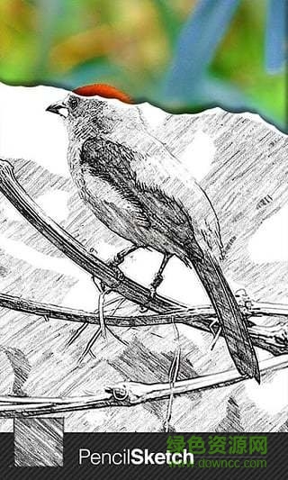 超级素描大師软件 v1.65 安卓版0