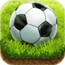 咸鱼游戏champion eleven