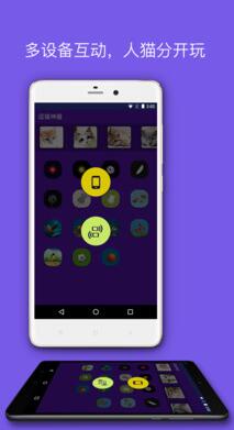 逗猫的软件 v4.0 安卓版1
