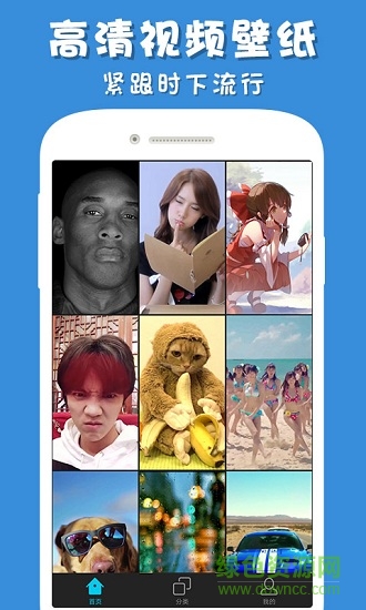彩蛋视频壁纸手机版 v3.2.5 安卓最新版0