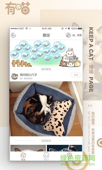 有喵云养猫 v1.1.1 安卓版2