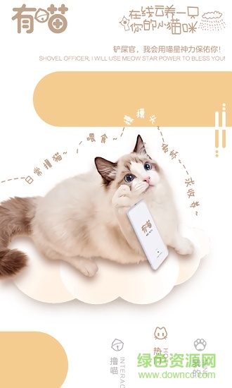 有喵云养猫 v1.1.1 安卓版0