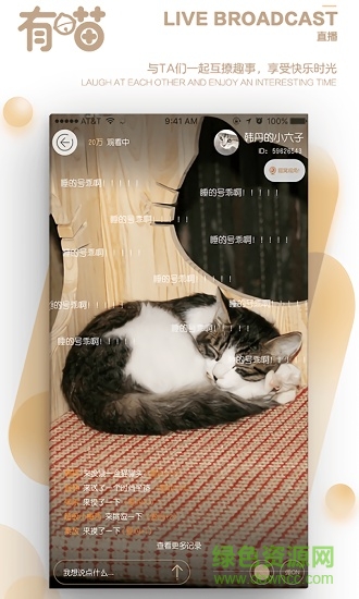 有喵云养猫 v1.1.1 安卓版1