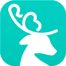 快付快赔(快处易赔)