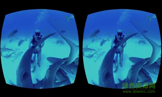 view master安卓版 小v博士app