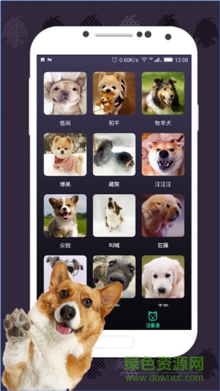 人猫翻译器软件 v1.3.0 安卓版1