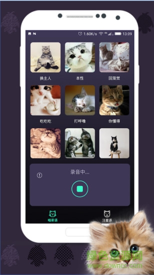 人猫翻译器软件 v1.3.0 安卓版2