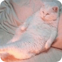 猫咪jio冷烤火表情包