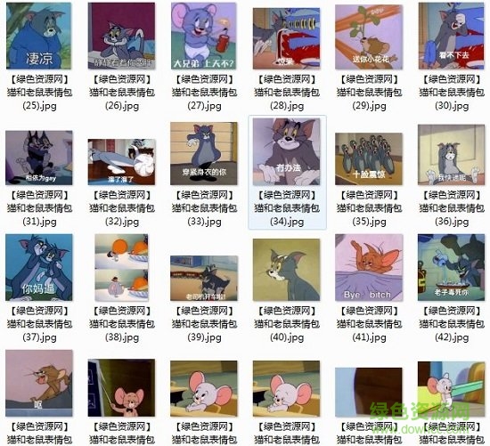 猫和老鼠搞笑表情包gif 系列完整版0