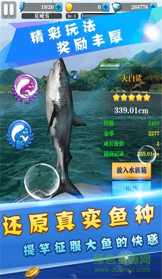 天天爱钓鱼九游版 v1.8 安卓版2