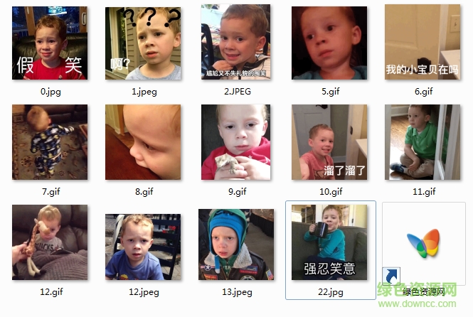 gavin微信动态表情包 gavin thomas表情包