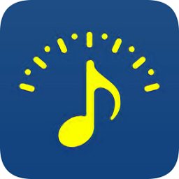 专业定音器手机版