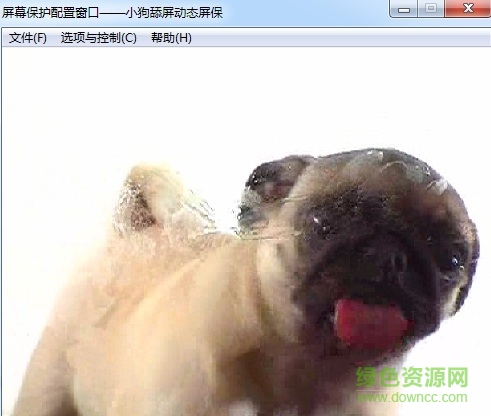 狗狗舔屏动态屏保 小狗舔屏电脑动态壁纸