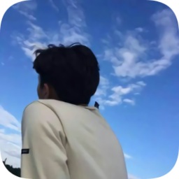 手机cpu强制开核免root