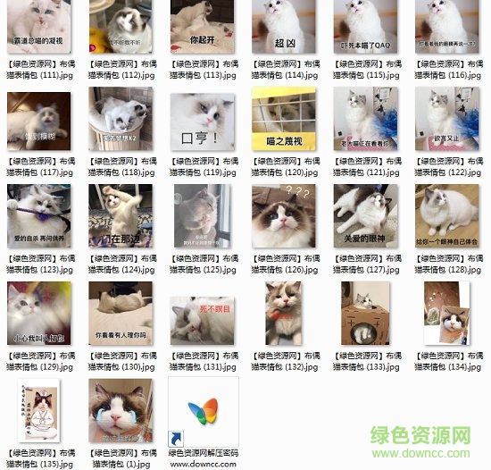 布偶猫表情包动图 2