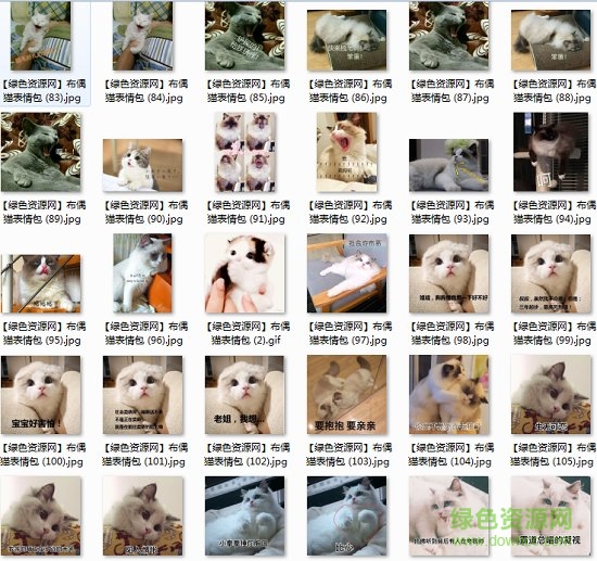 布偶猫表情包动图 3