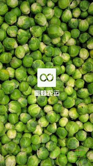 蜜蜂配送 v1.0.22 安卓版0